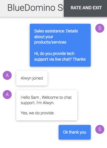 bluedomino.com support chat