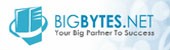 BigBytes.net
